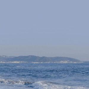 东北肥岳虎狼之年
